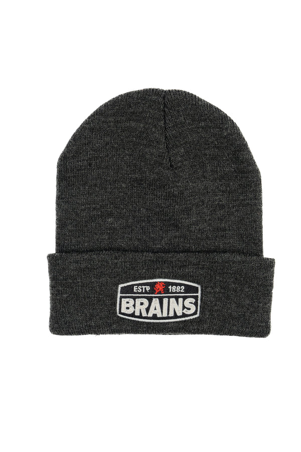 Brains Beanie