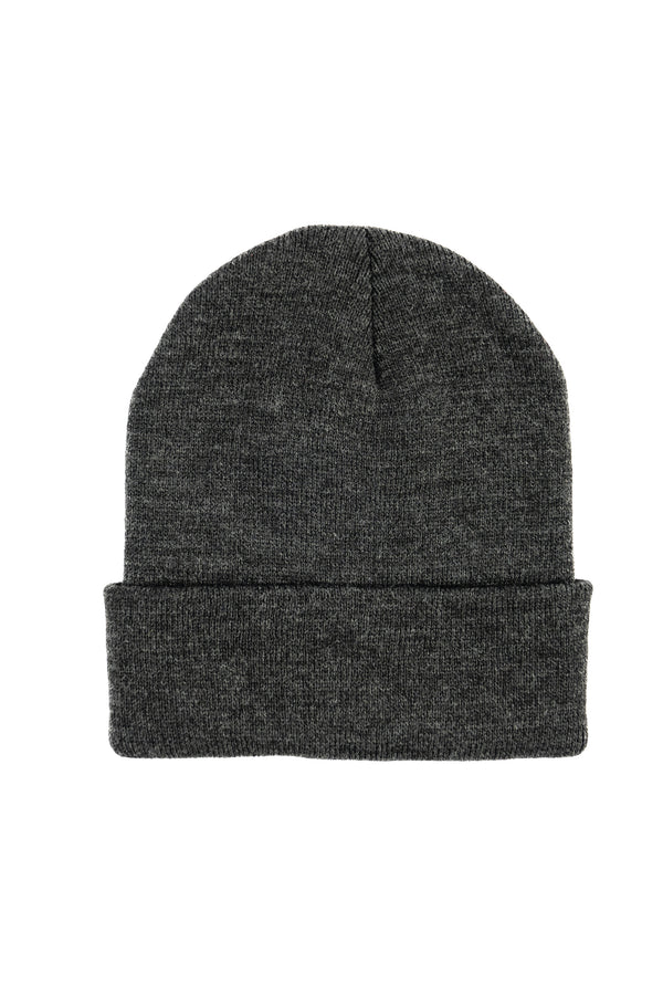 Brains Beanie
